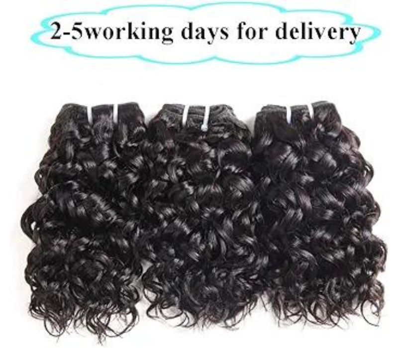 Water Wave Bundle with Closure, wet and Wave Human Hair 